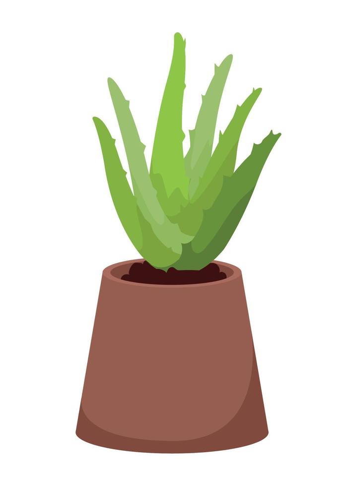 aloe vera in pot vector