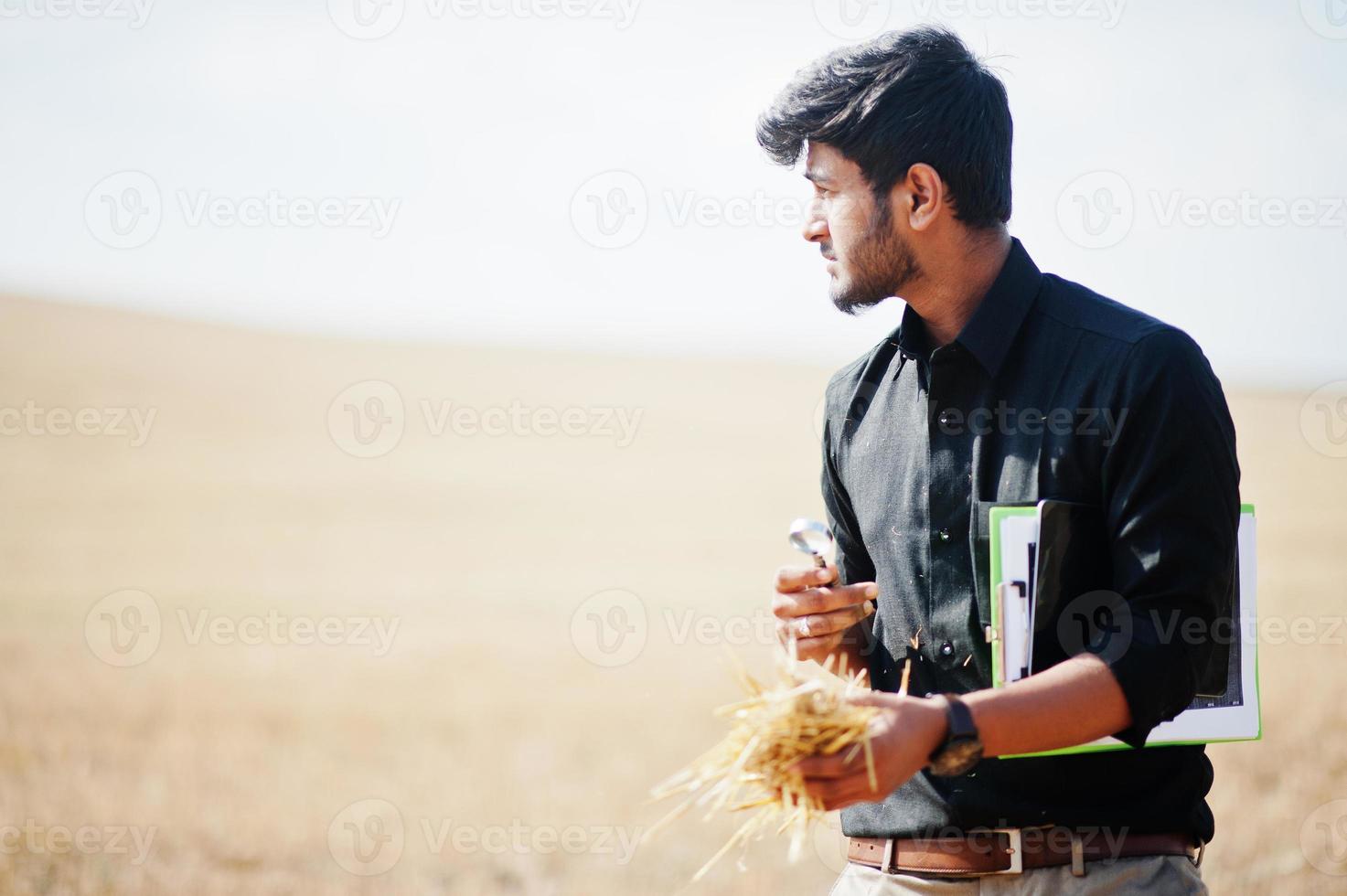 South asian agronomist farmer inspecting wheat field farm. Agriculture production concept. photo