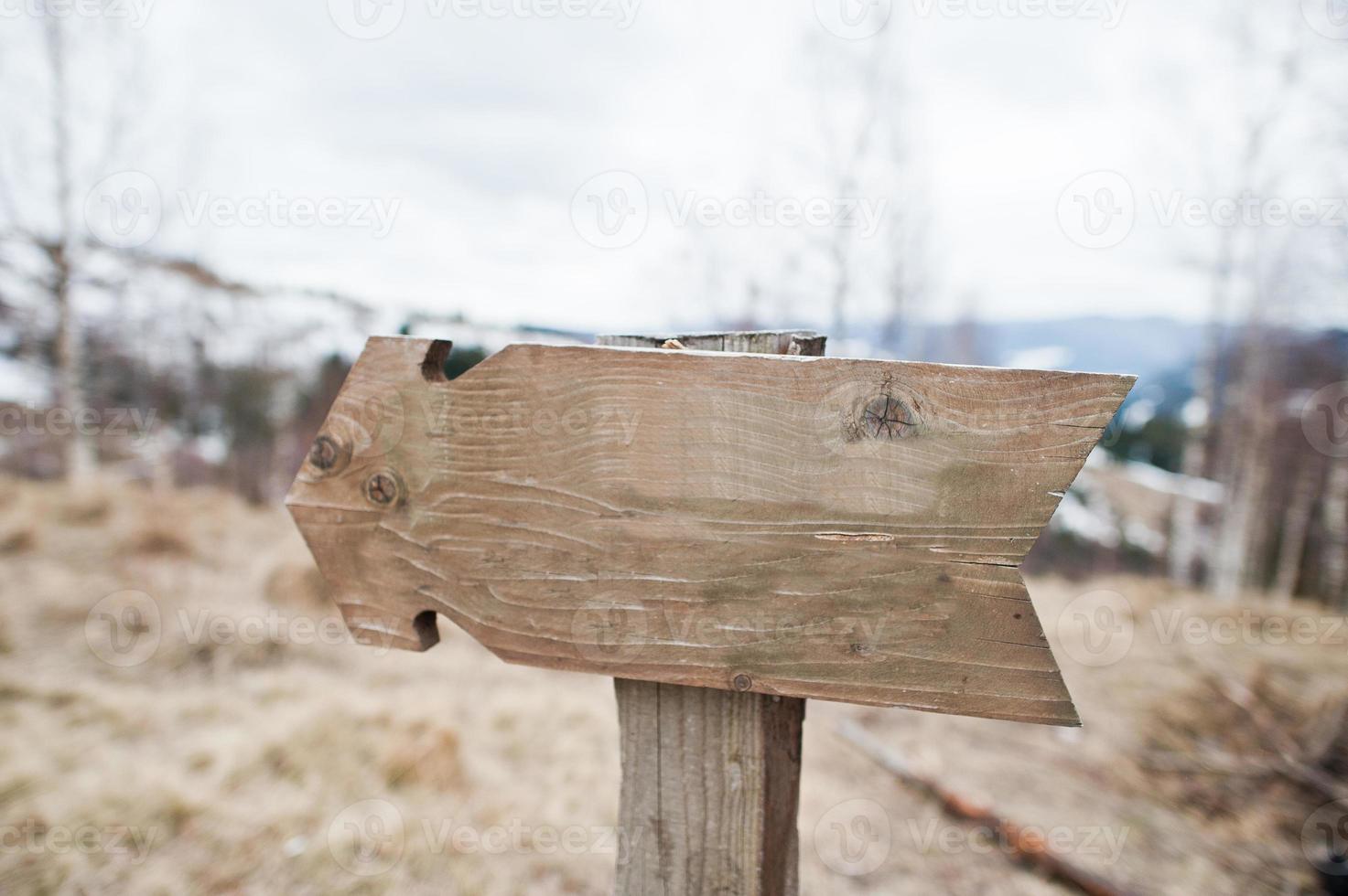 Wooden sign arrow in green forest at Carpathian forest. photo