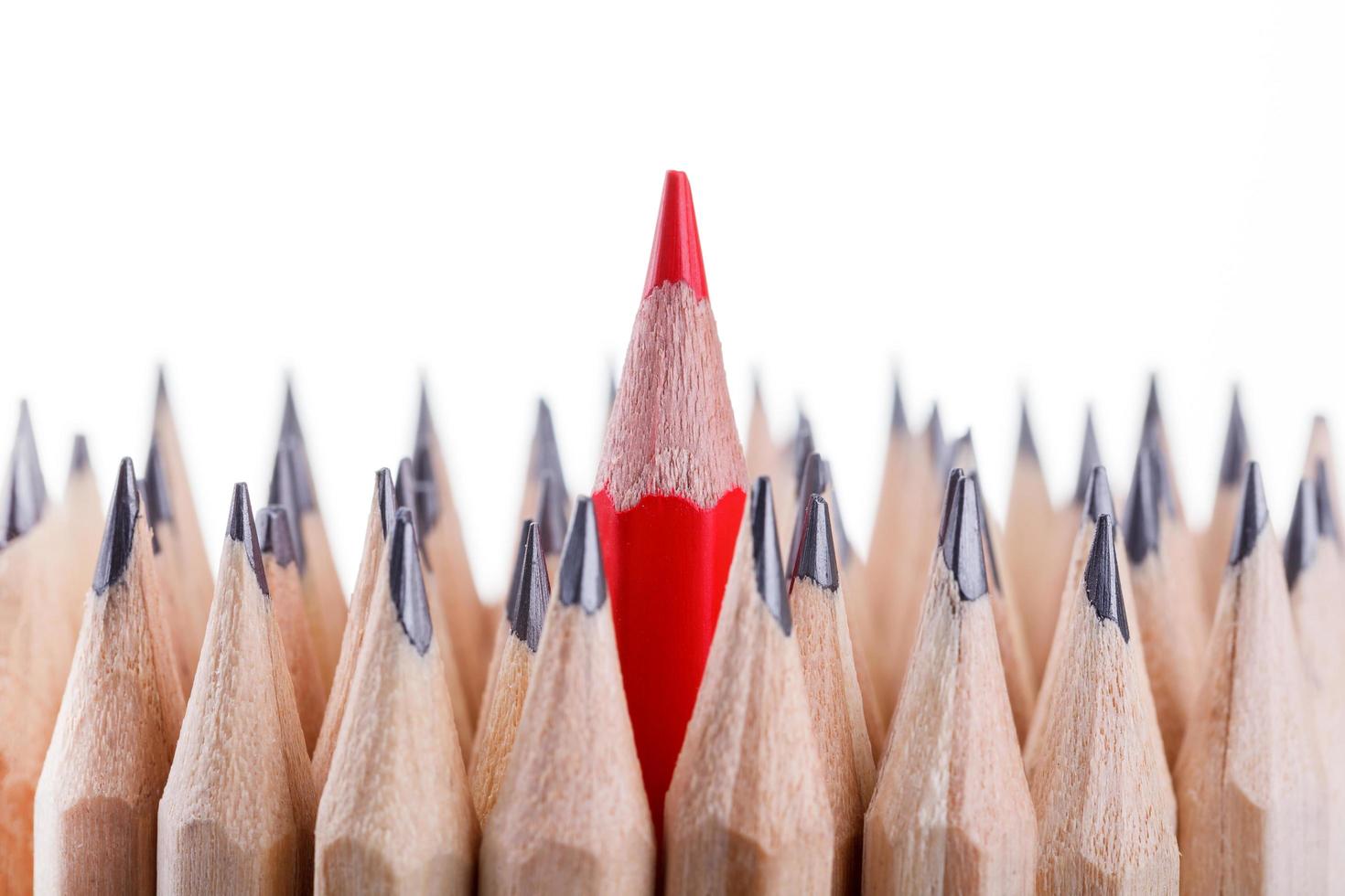 One sharpened red pencil among many ones photo