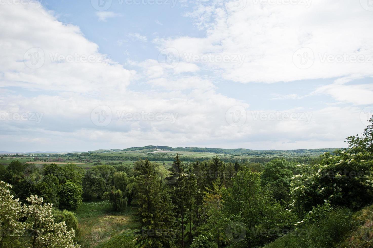 Marvellous green landscape with blossoming trees. photo