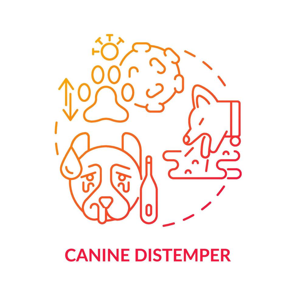 Canine distemper red gradient concept icon. Disease risk for dogs abstract idea thin line illustration. Contagious virus of animals. Isolated outline drawing. vector