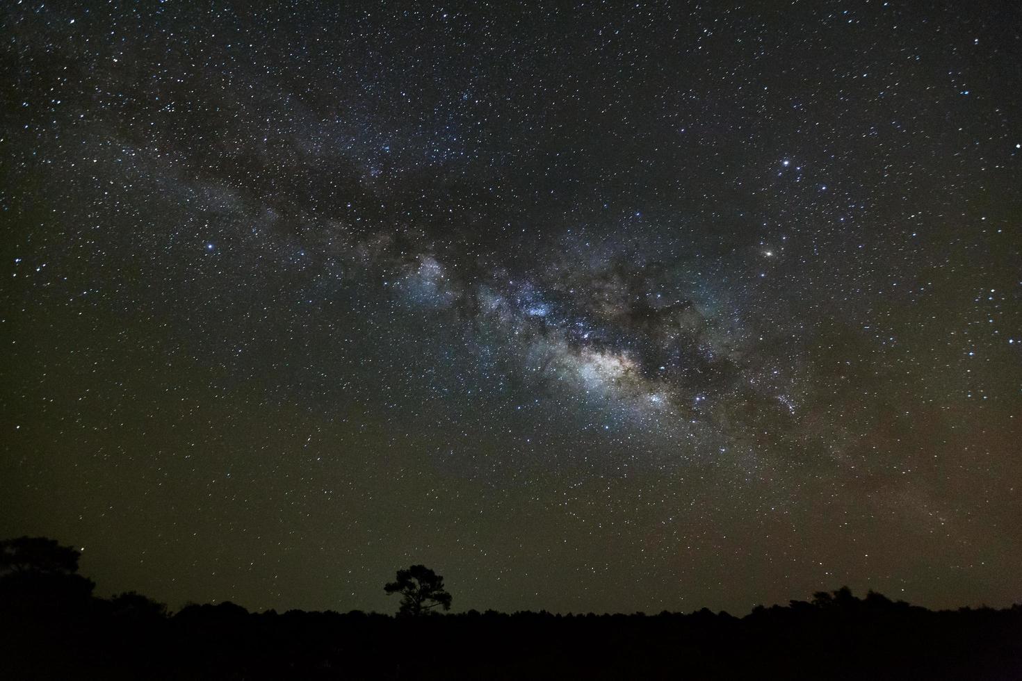 vía láctea y silueta de árbol en el parque nacional phu hin rong kla, phitsanulok tailandia, fotografía de larga exposición con grano foto