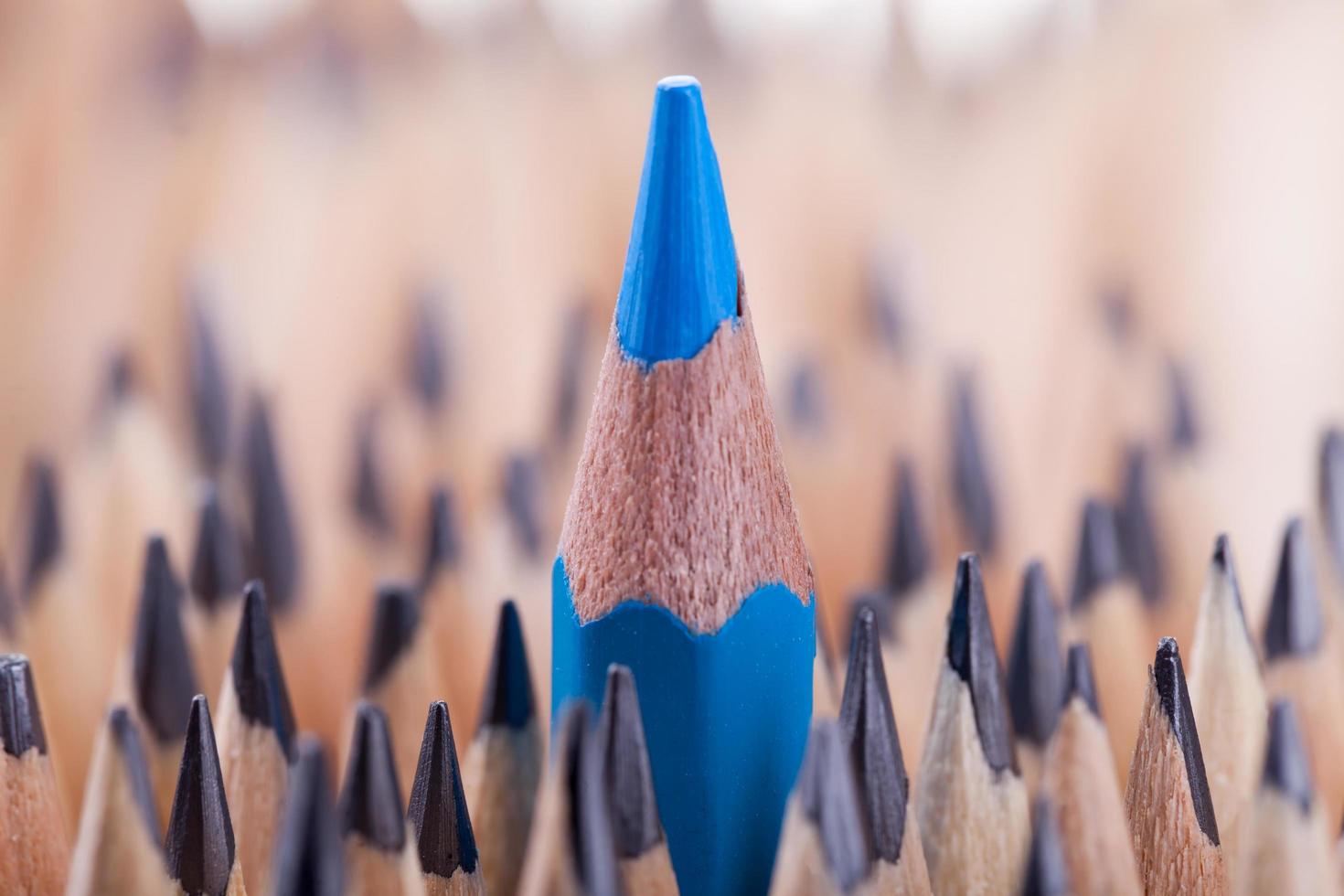 One sharpened blue pencil among many ones photo