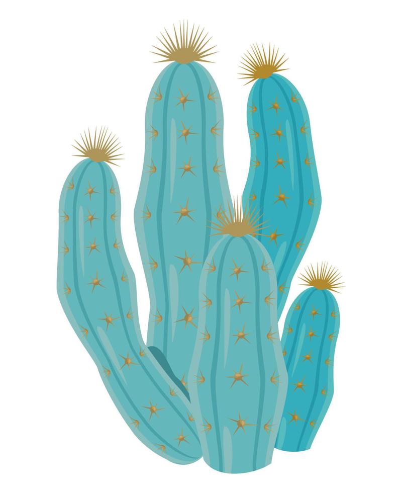 green cactus dry plant vector