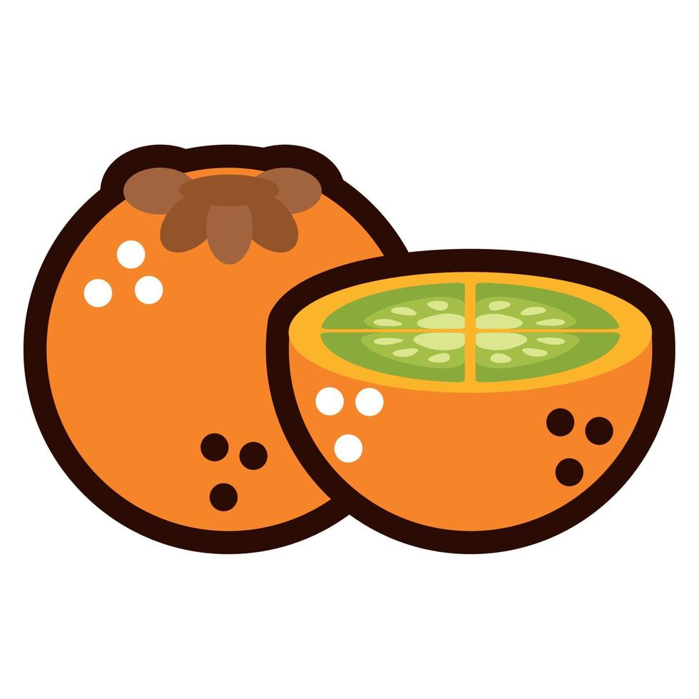 fresh kaki fruits doodle vector