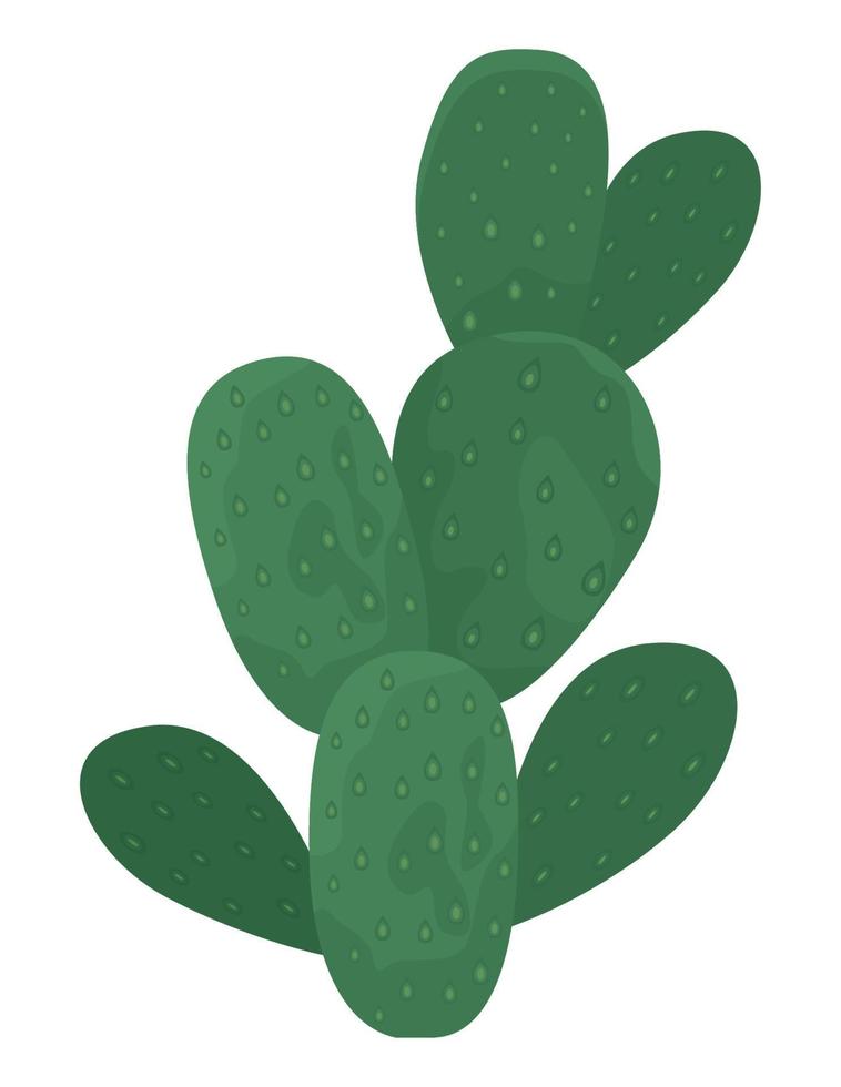 green cactus desert plant vector