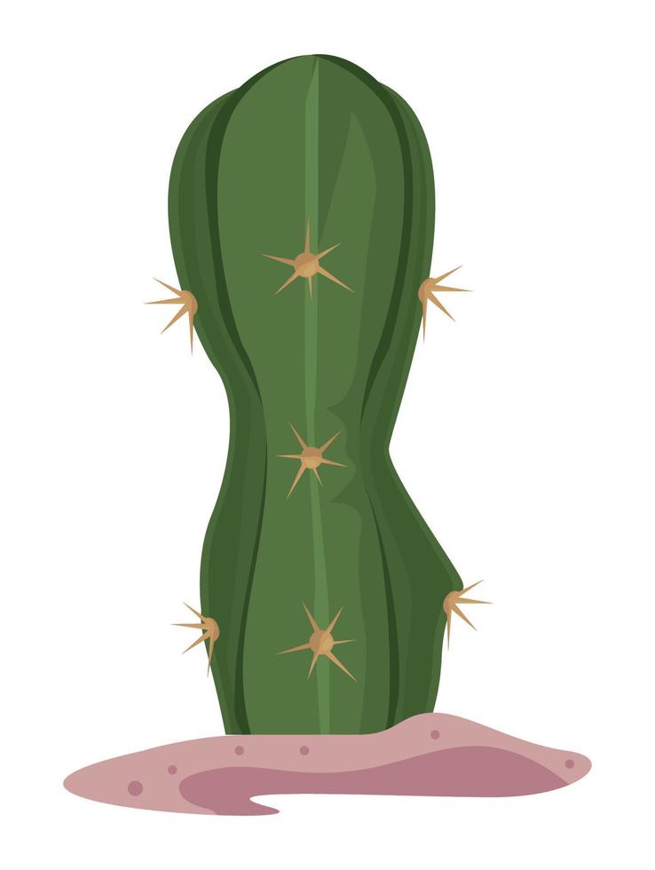 cactus planting in desert vector