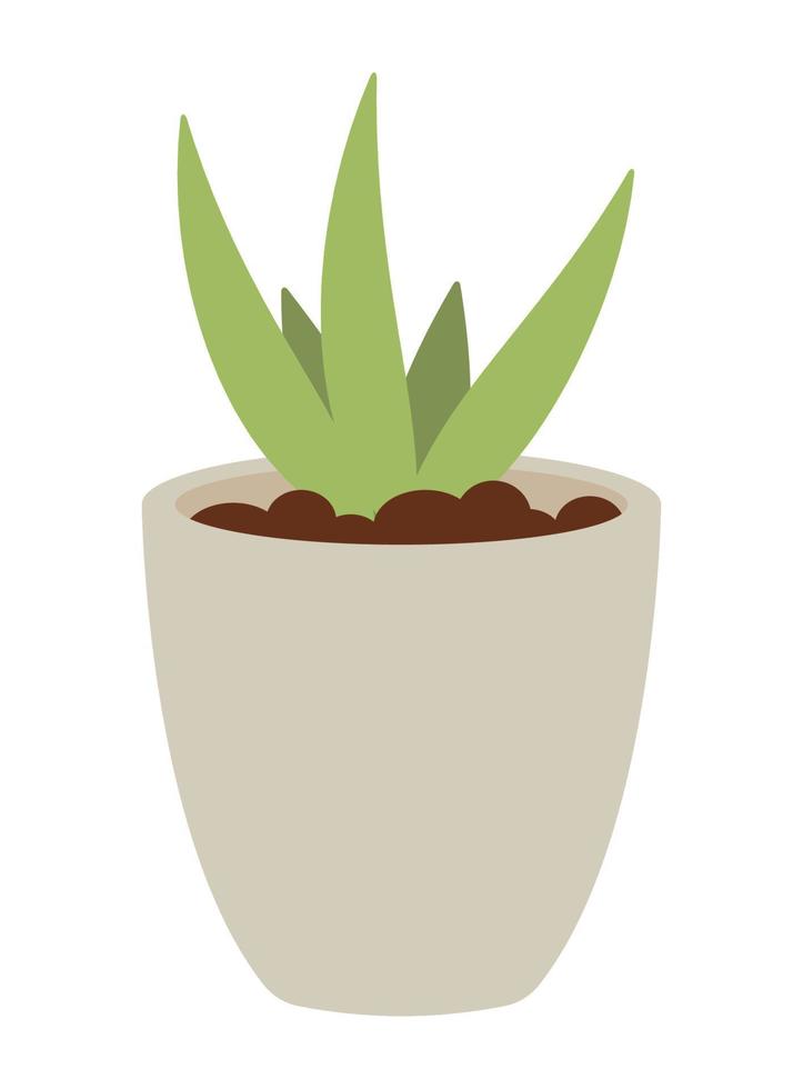 planta de jardín en maceta blanca vector