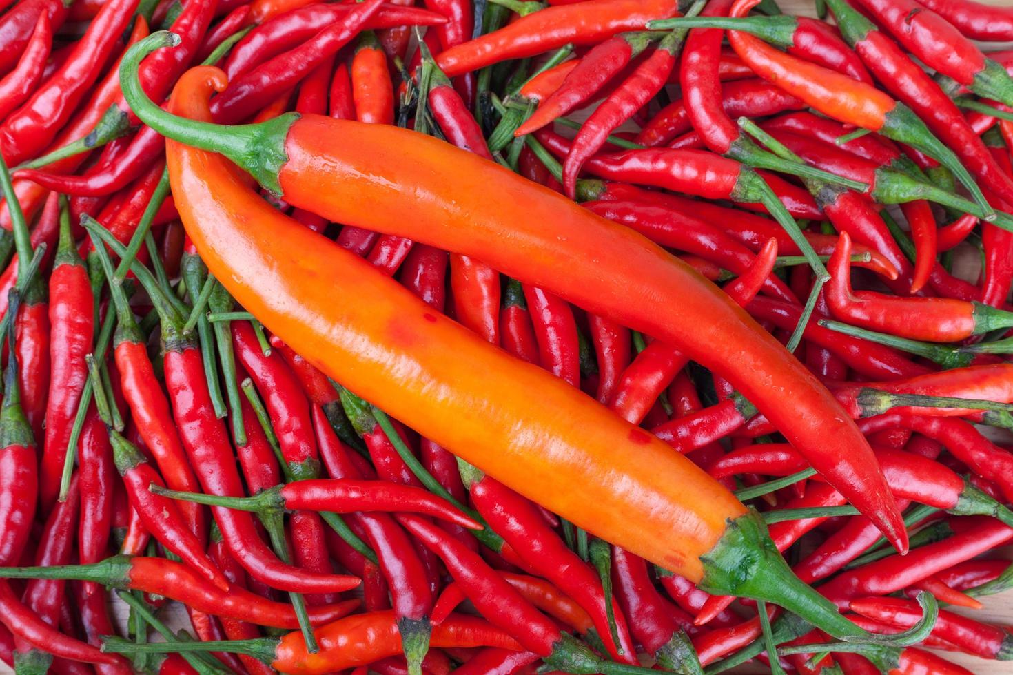 red chili or chilli cayenne pepper photo