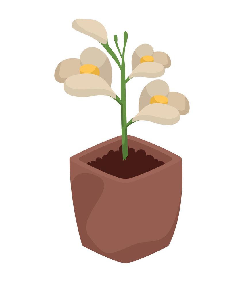 flores blancas en maceta 10436831 Vector en Vecteezy flores blancas en maceta 10436831 Vector en Vecteezy