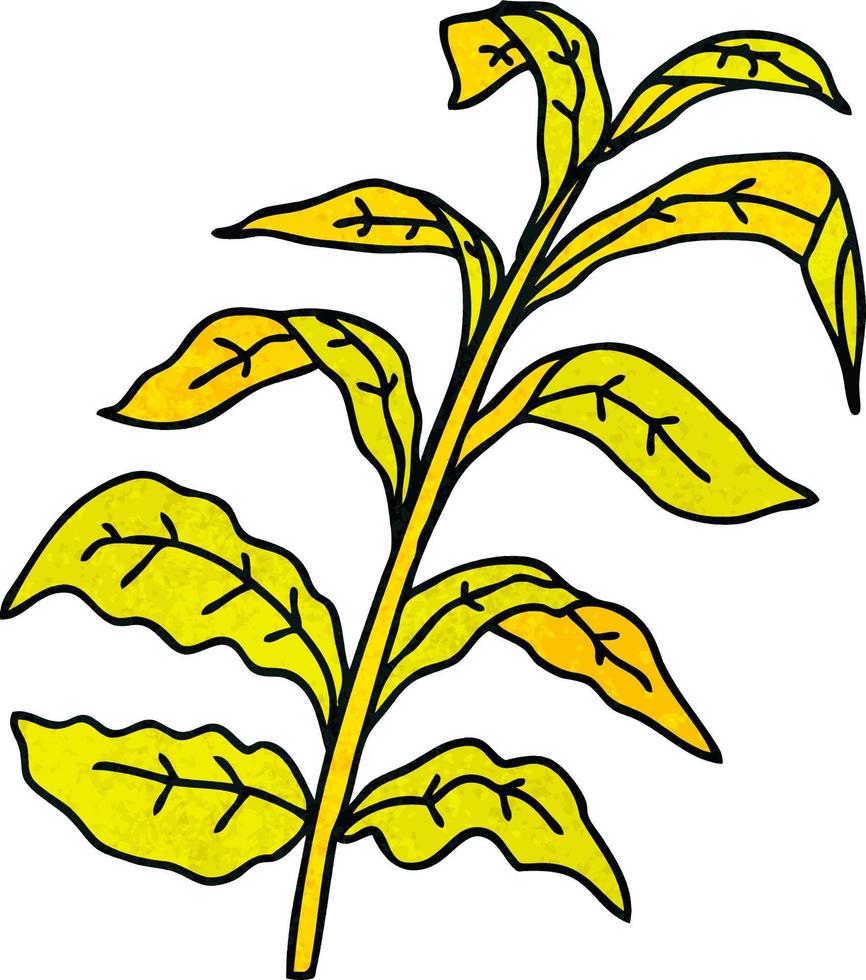 quirky hand drawn cartoon corn leaves vector