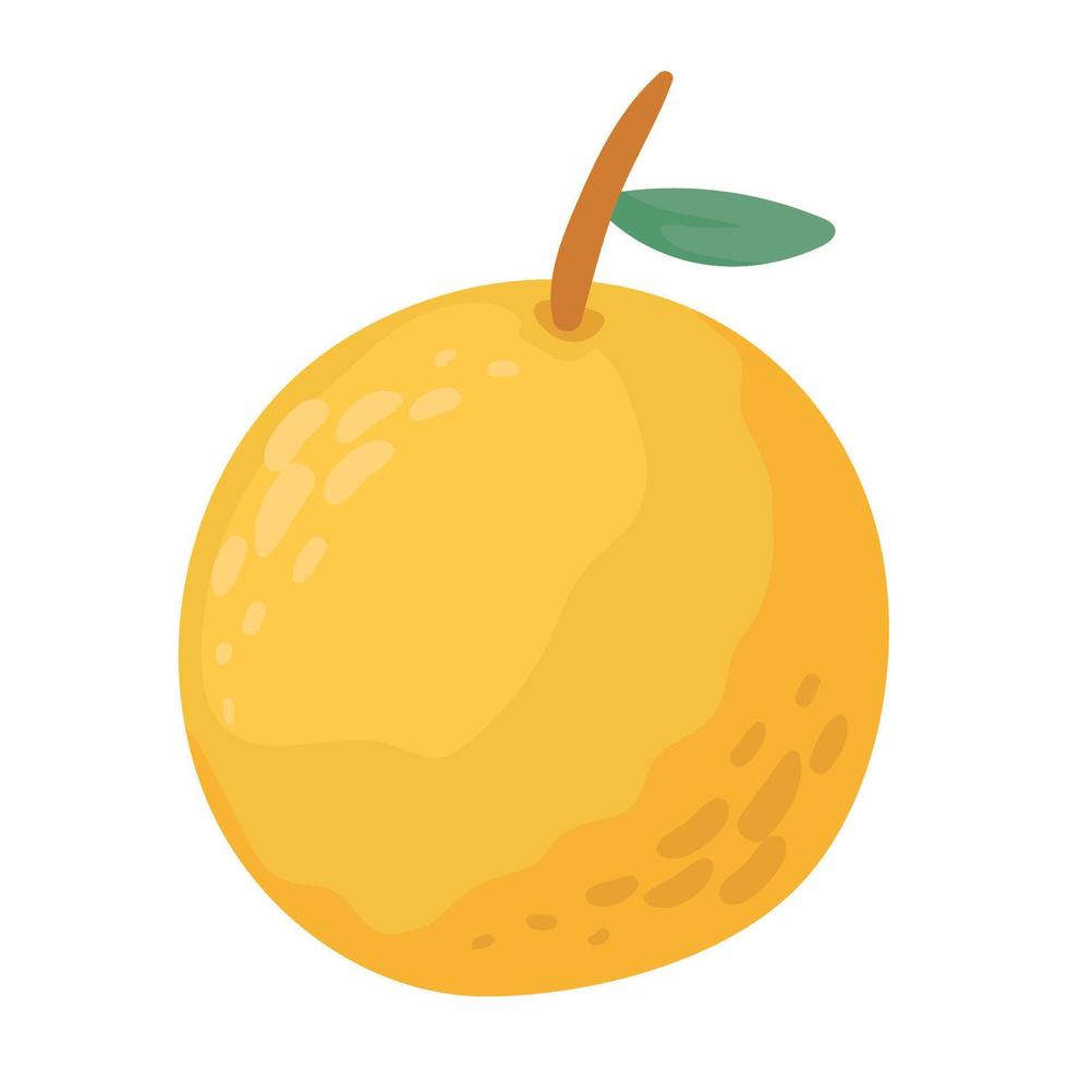 orange citrus fruit vector