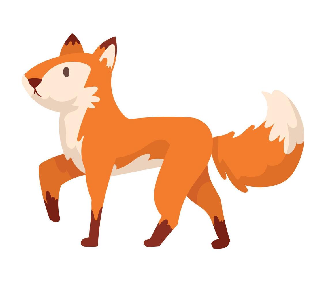 cute fox animal kid vector