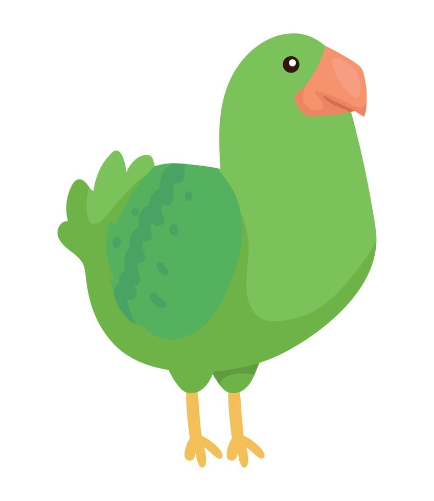 cute parrot animal wild vector