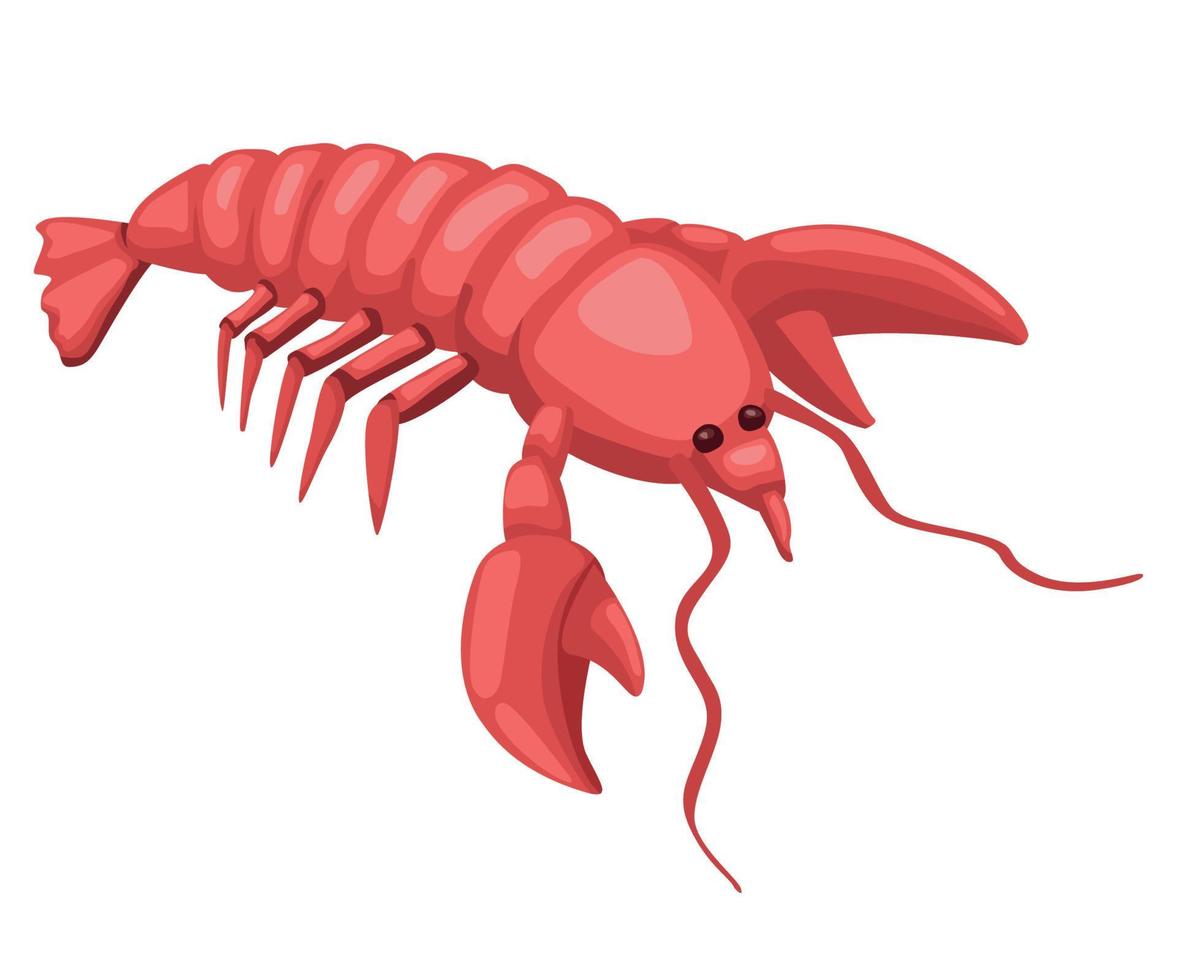 fresh lobster seafood vector