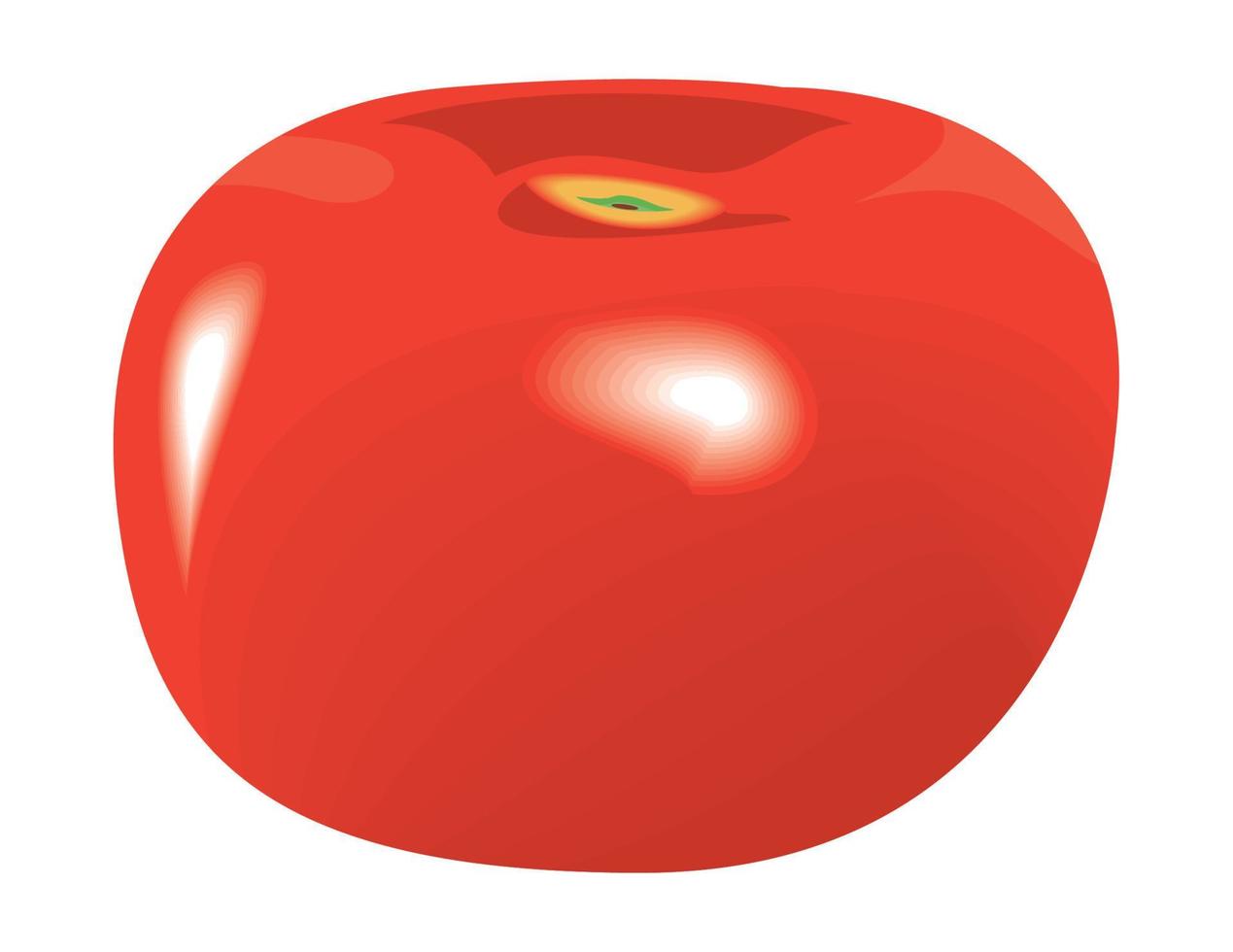 vegetales de tomate fresco vector