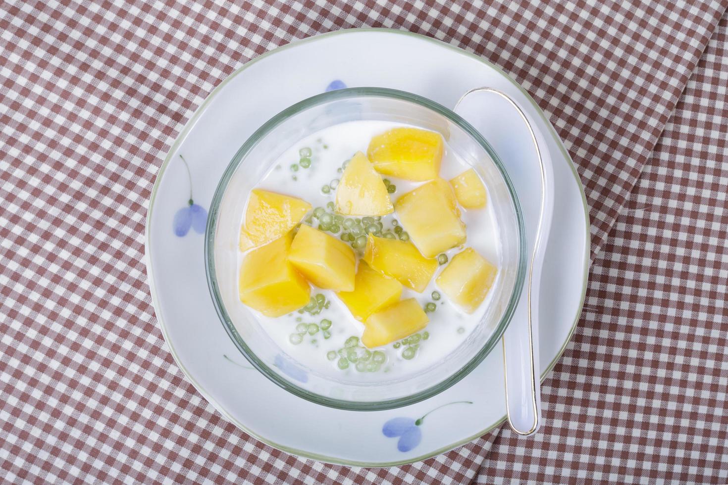 Thai dessert of sago with coconut milk and mango photo