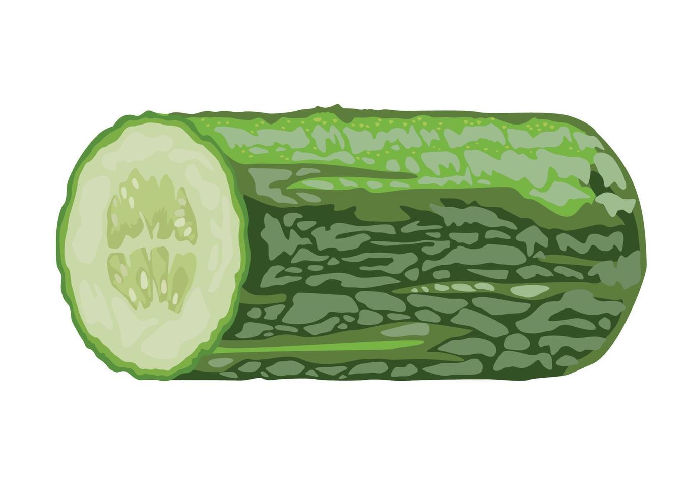 healthy cucumber vegetable vector