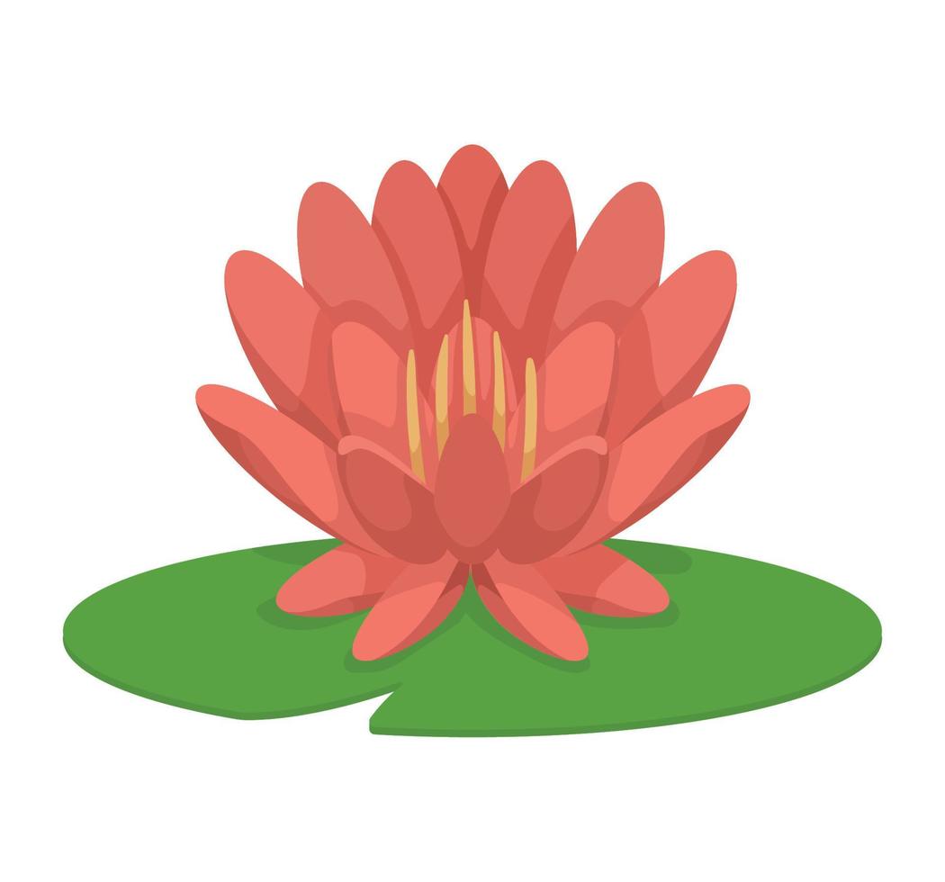 hermoso jardín de flores de loto vector