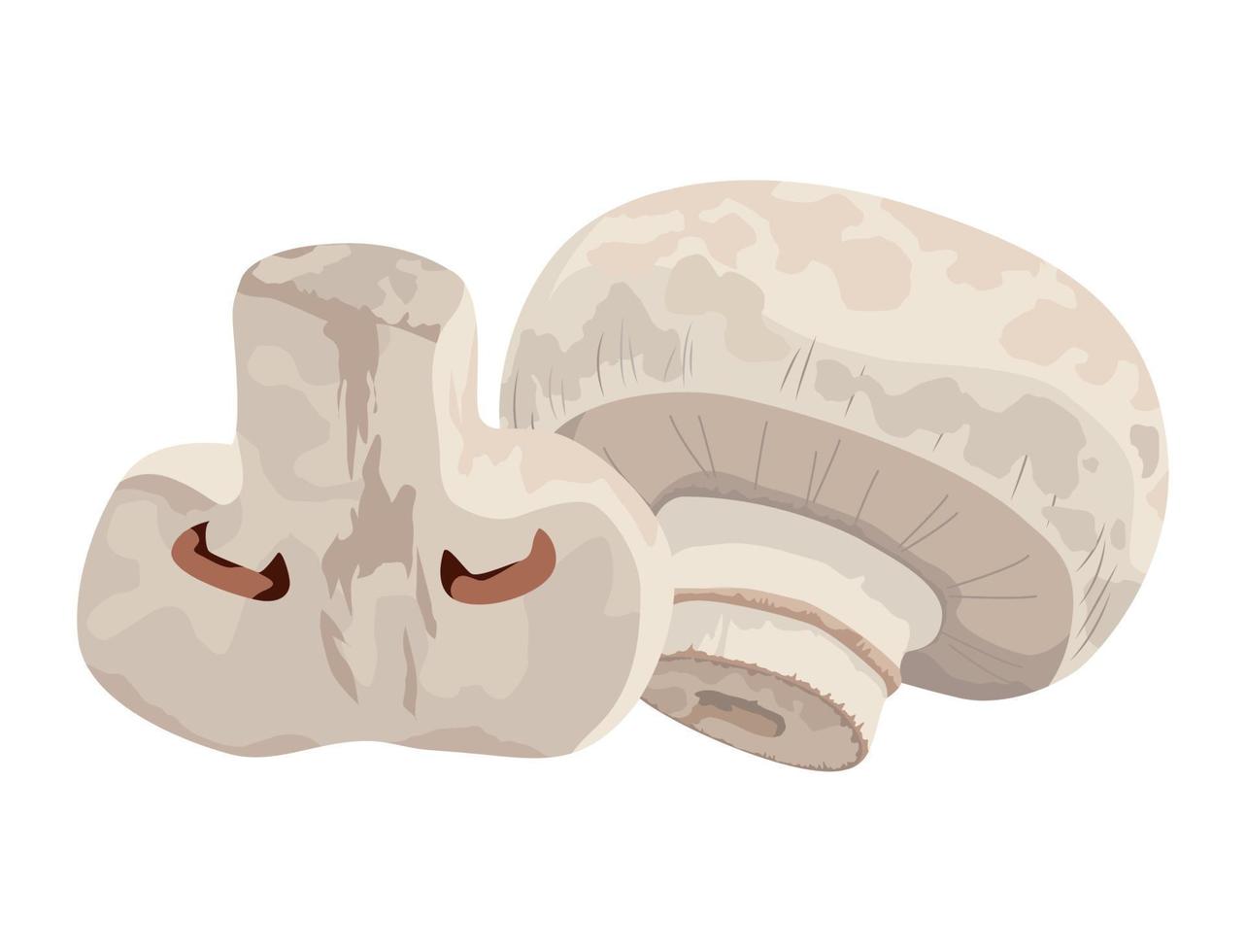 healthy mushrooms vegetable vector