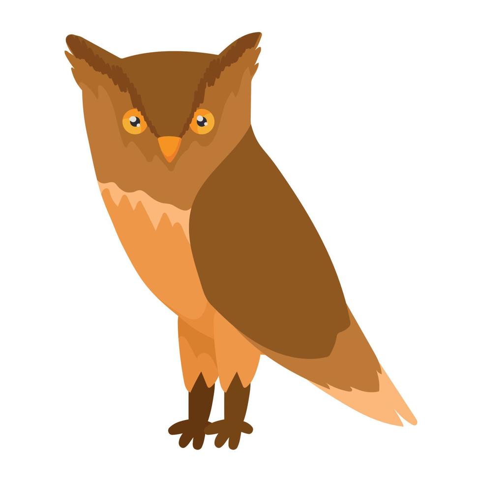 owl bird animal spice vector