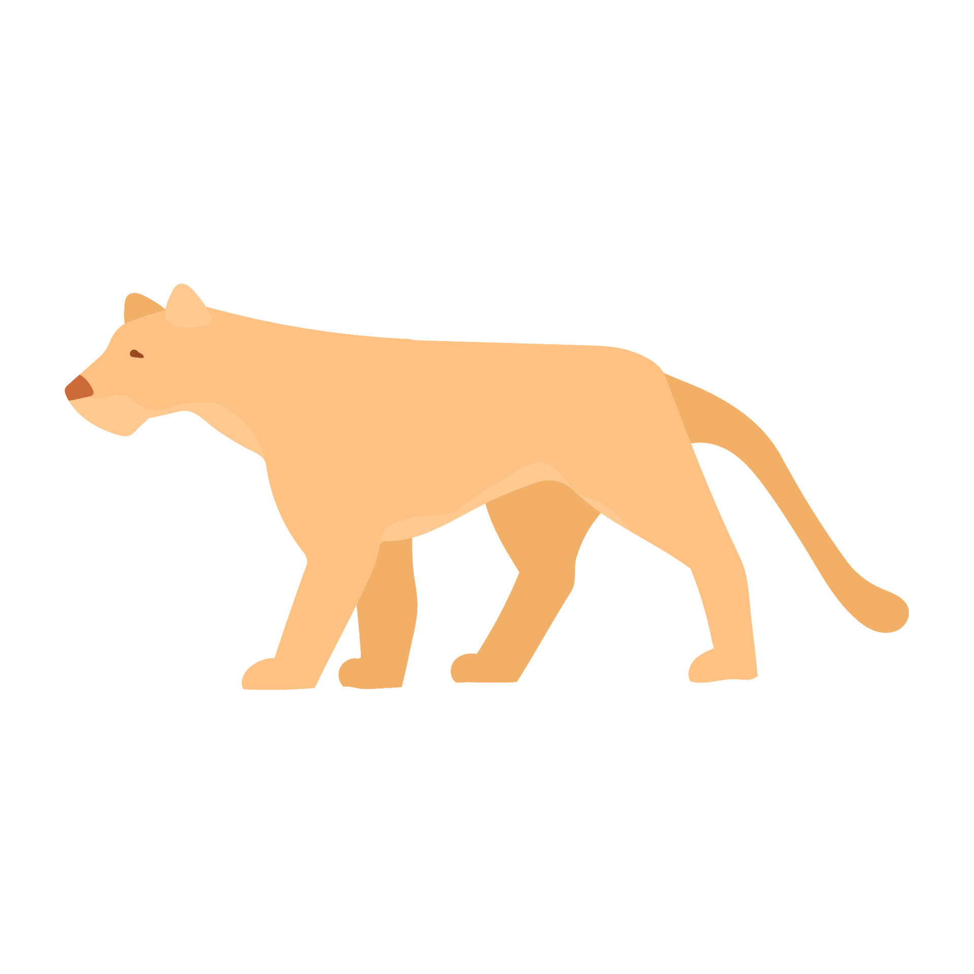 cougar wild animal 10438519 Vector Art at Vecteezy