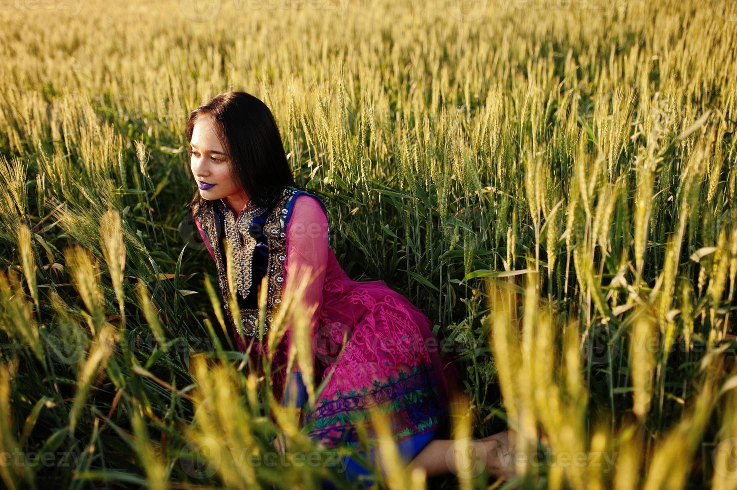 Tender indian girl in saree, with violet lips make up posed at field in sunset. Fashionable india model. photo