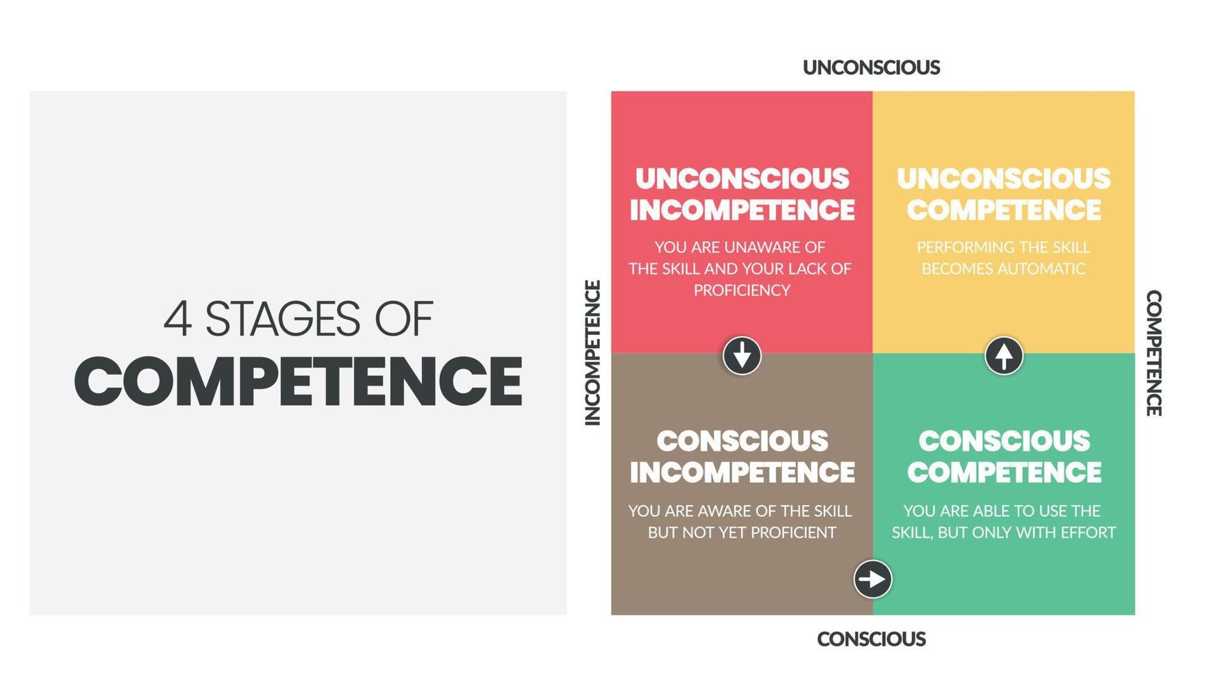 diagrama matricial de 4 etapas de competencia en una infografía de gráficos vectoriales para el desarrollo de recursos humanos, como inconsciente y conscientemente incompetente, consciente e inconscientemente competente. vector