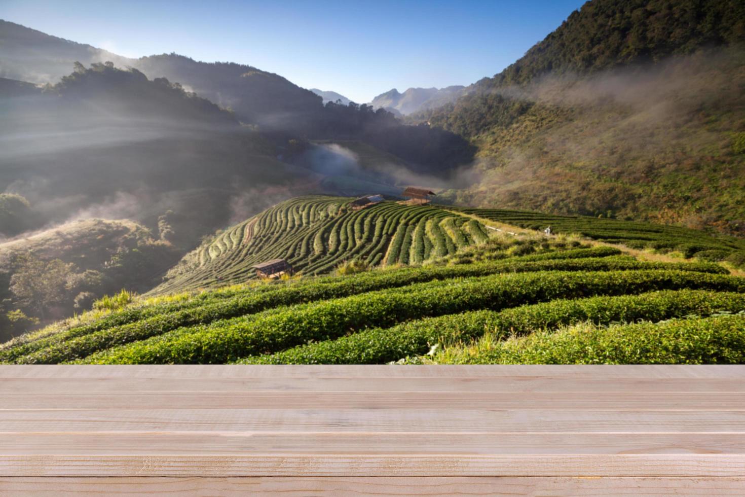 Wood table top on blurred tea plantation background - can be used for display your products photo