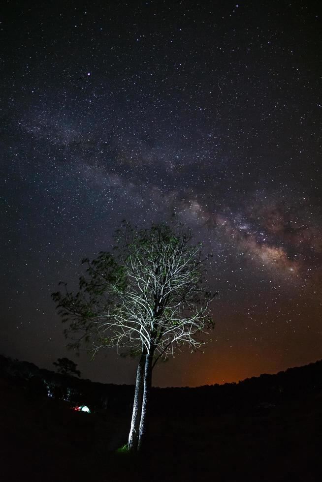 milky way and silhouette of Tree with cloud. Long exposure photograph.with grain photo