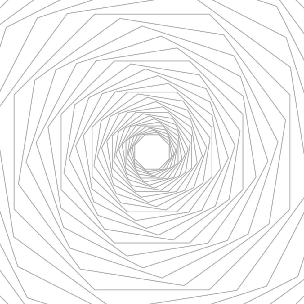 Gray octagon geometric line art on white background. Vector illustrator