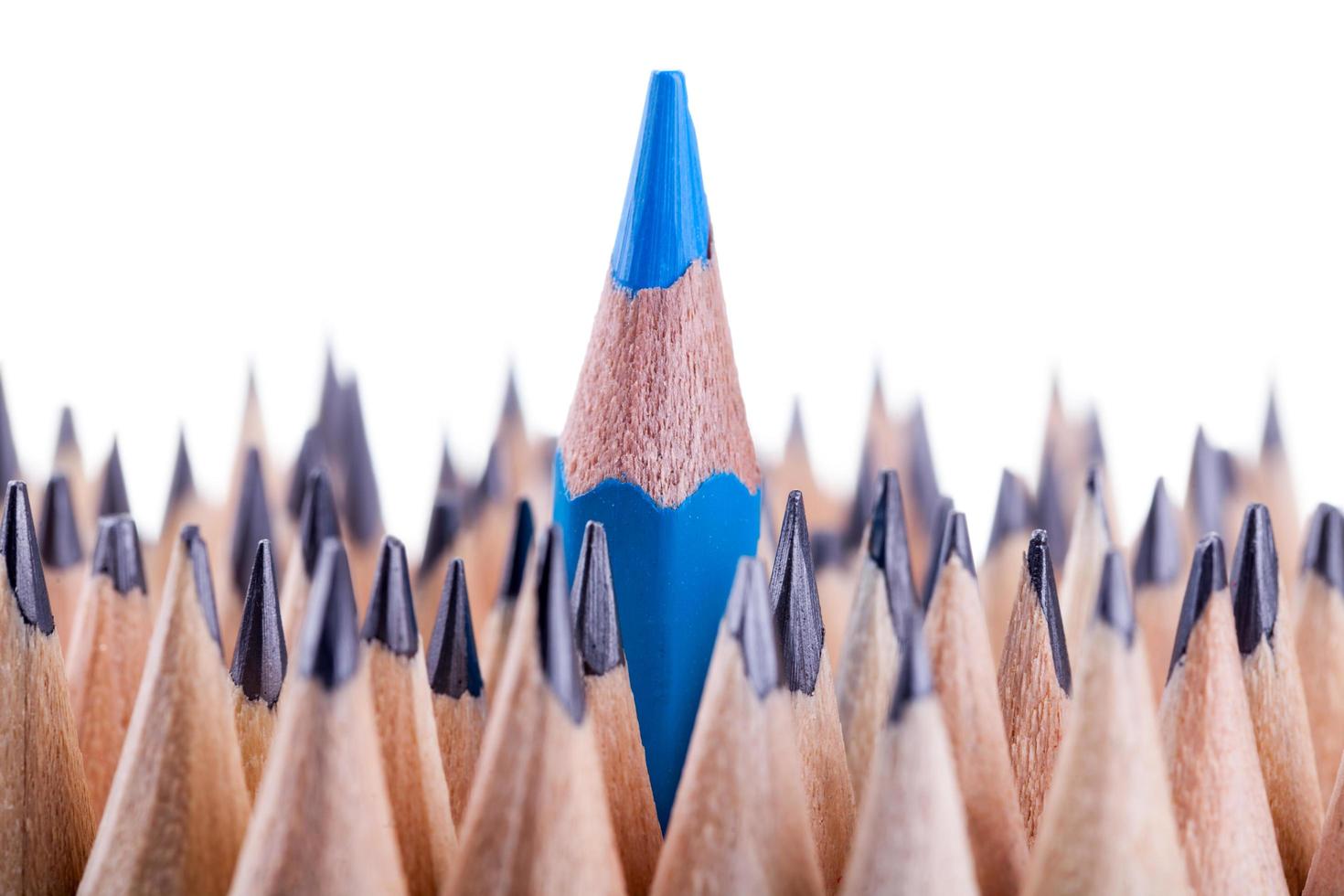 One sharpened blue pencil among many ones photo