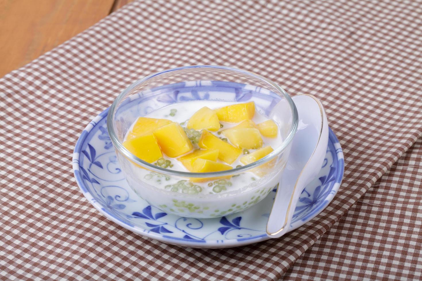 Thai dessert of sago with coconut milk and mango photo