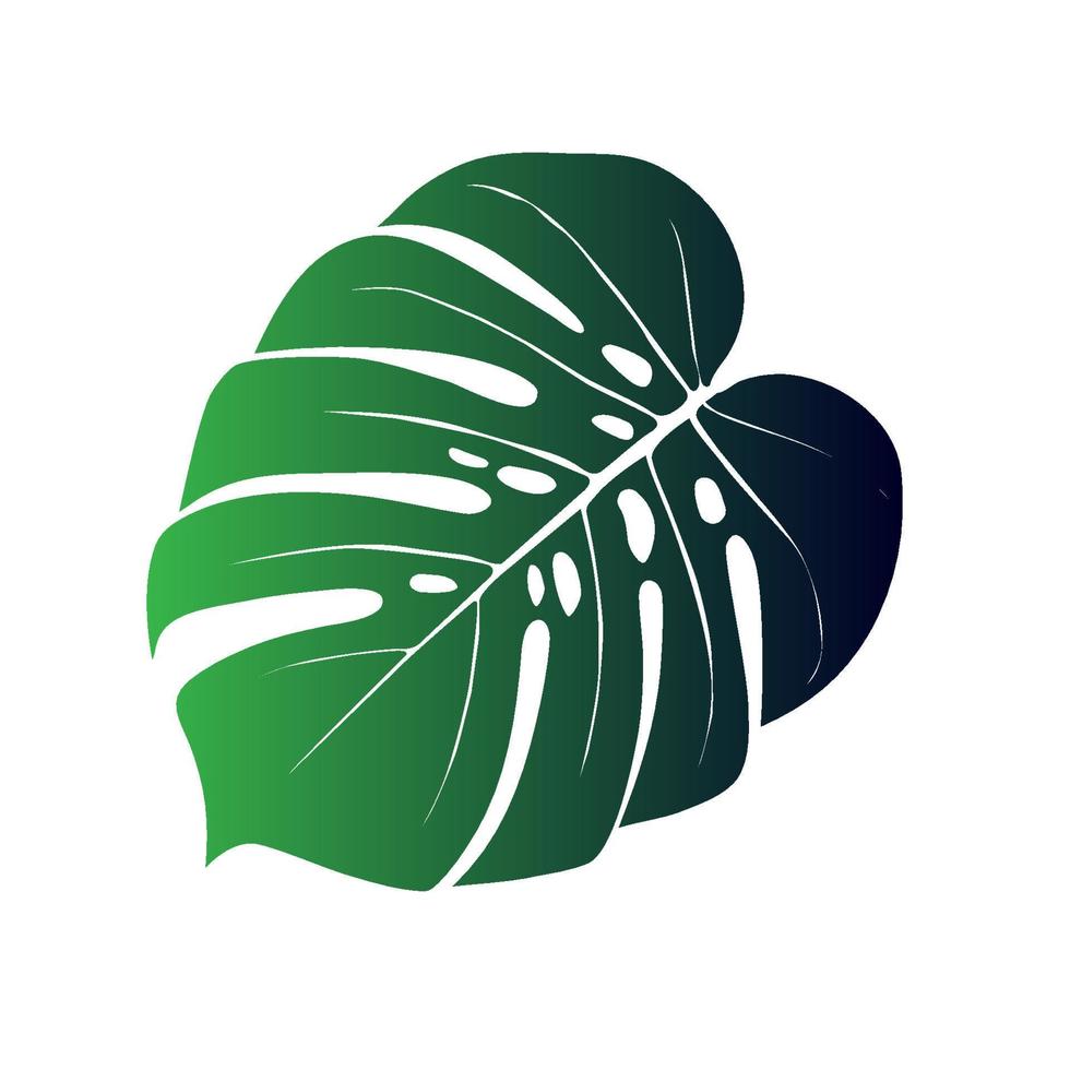 Monstera Deliciosa plant leaf from tropical forests isolated. Vector for greeting cards, flyers, invitations, web design