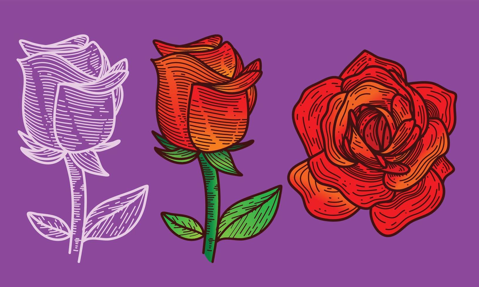 hand drawn rose vector design with flat lines and bright colors