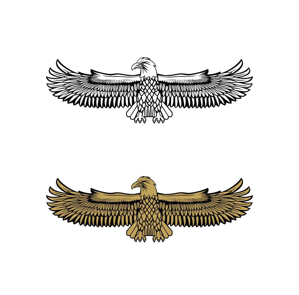 cuerpo de marines de estados unidos eagle ega design illustration vector