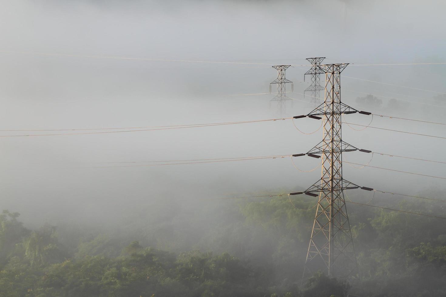 Electrical power lines and pylons emerging from the mist photo