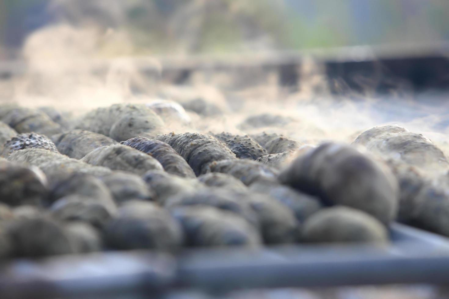 Drying Sea Cucumber Outdoor 10448186 Stock Photo at Vecteezy