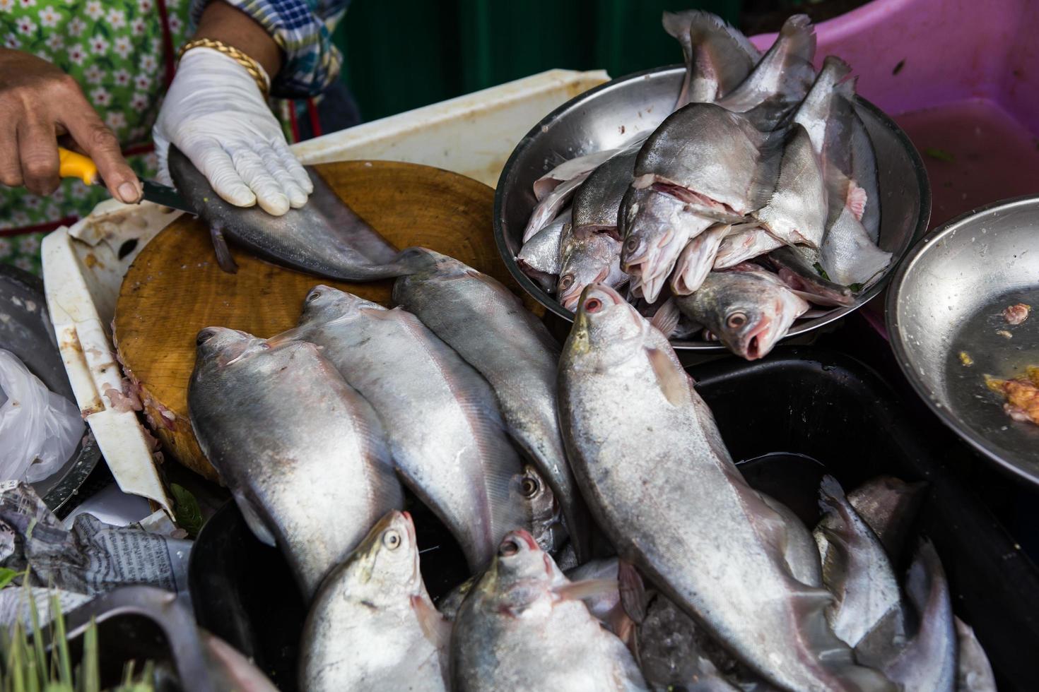 fresh seafood on the market in Thailand photo