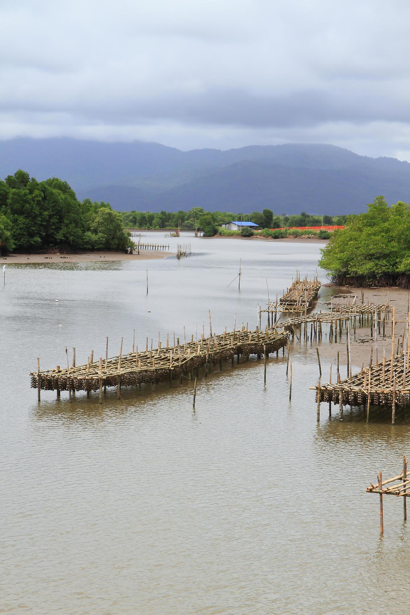 Shellfish farm, Thailand 10448248 Stock Photo at Vecteezy