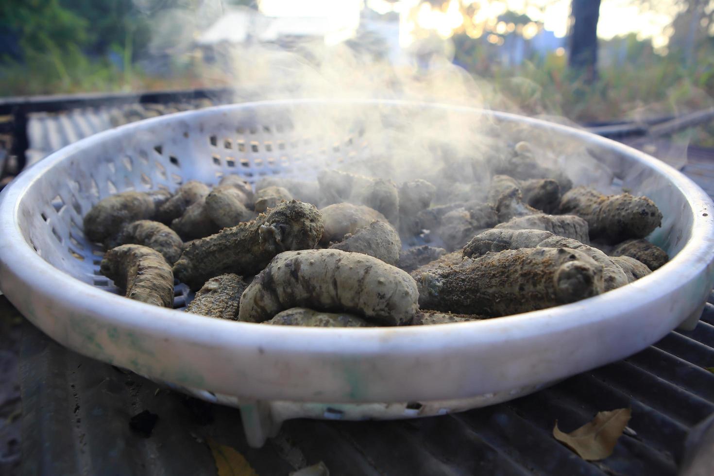 Drying Sea Cucumber Outdoor photo