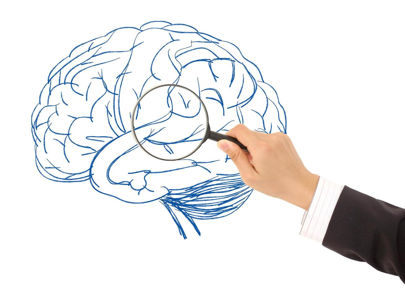 drawing magnifying glass and brain photo