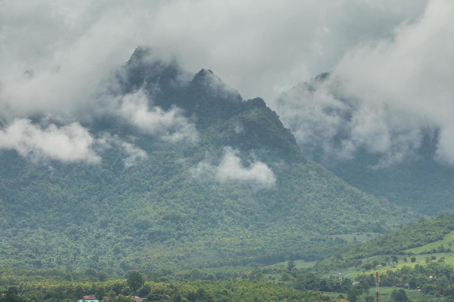 hermoso paisaje de montaña, bosque y niebla. foto