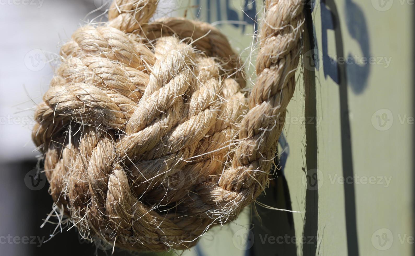 A sailing knot-monkey knot photo