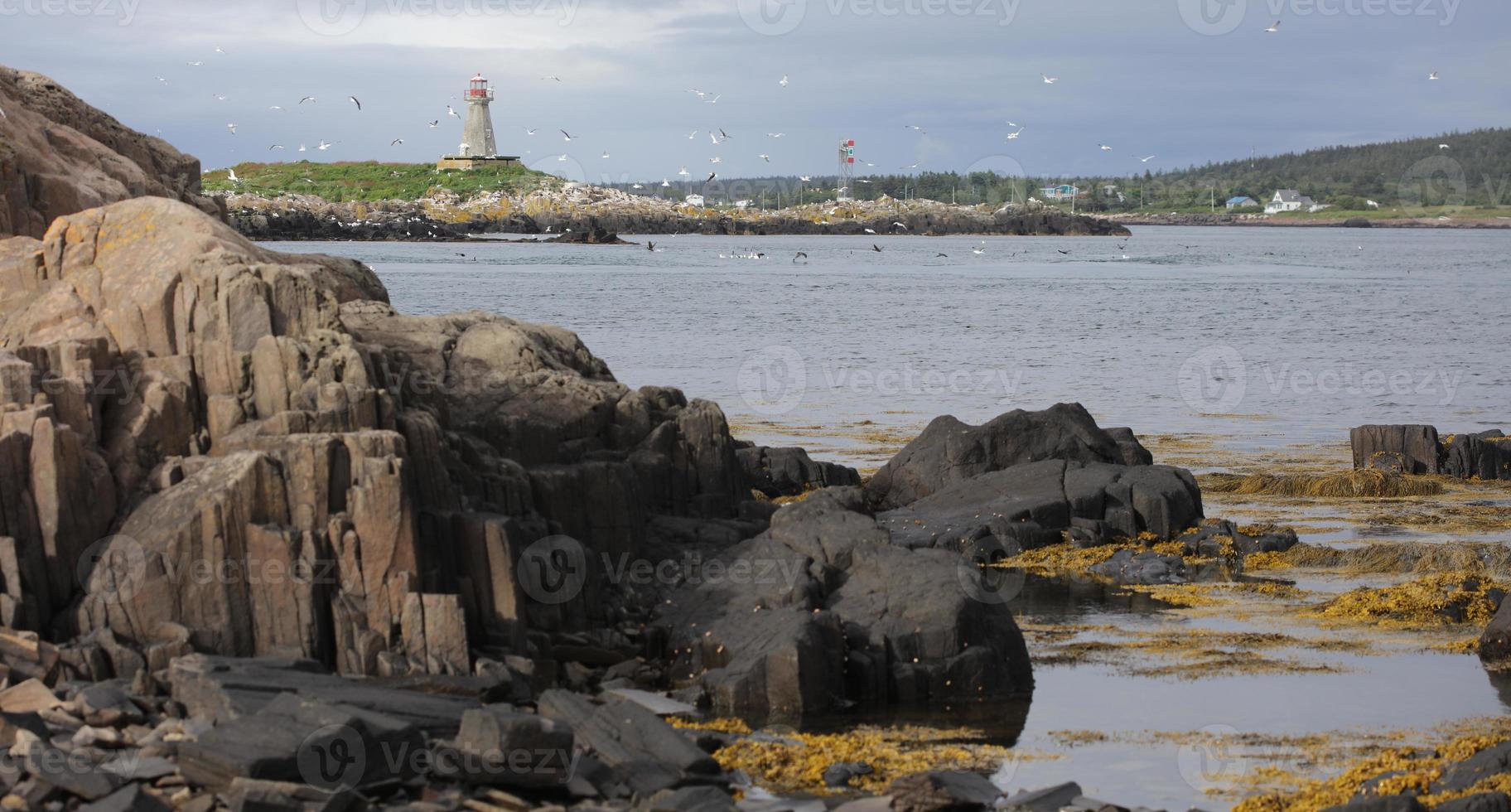 Brier Island and the lighthouse photo