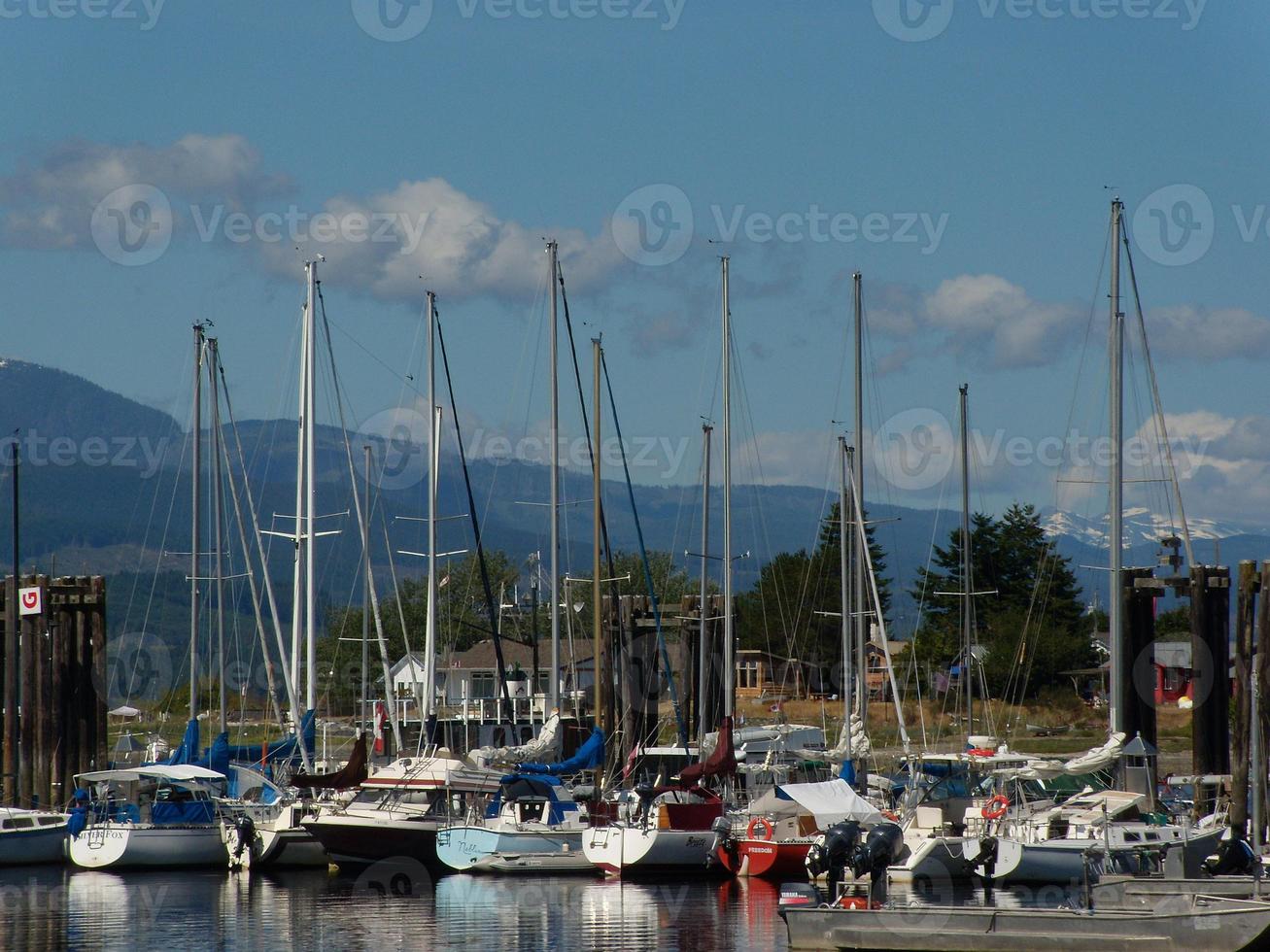 Boats at the dock photo