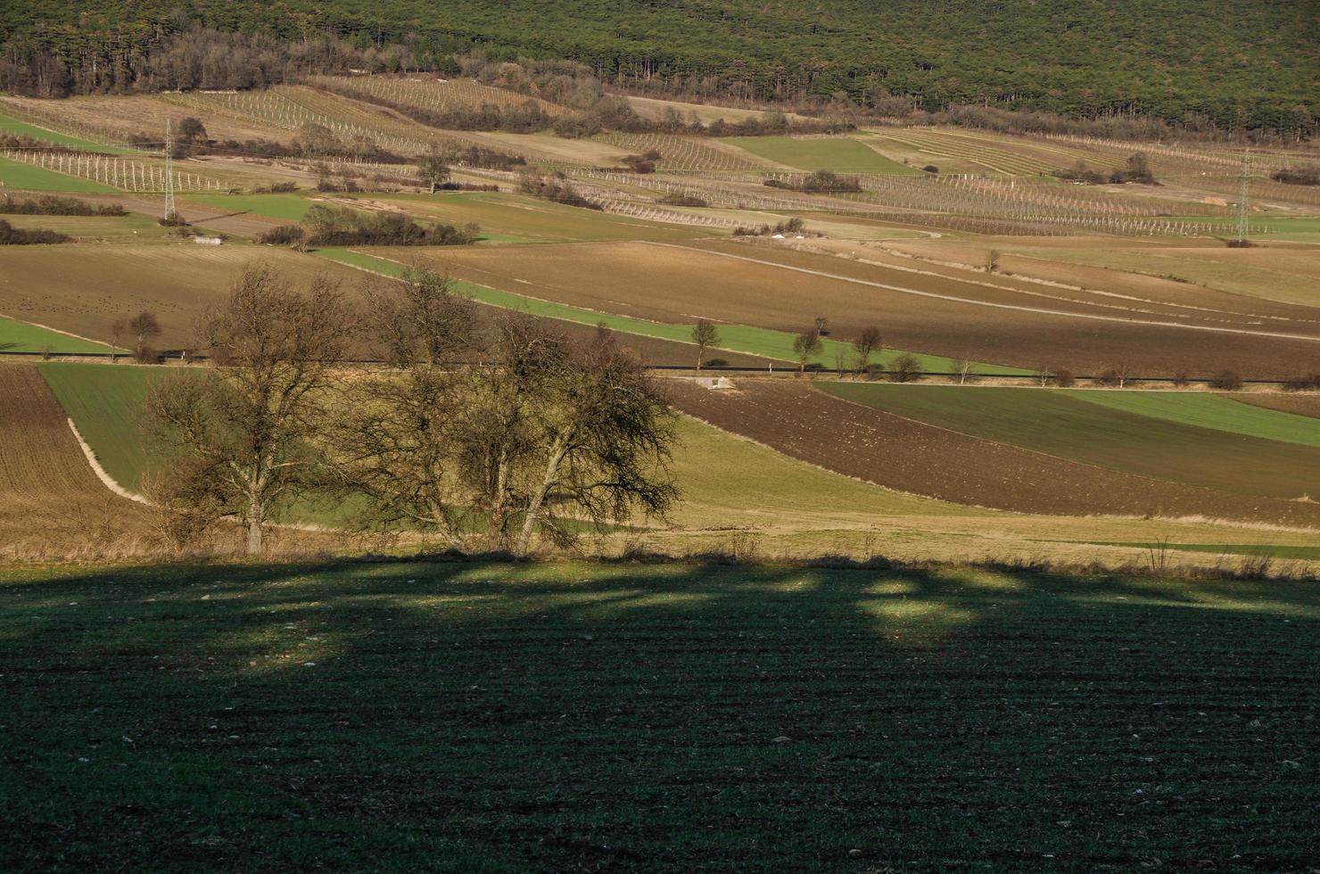 many fields in the landscape photo