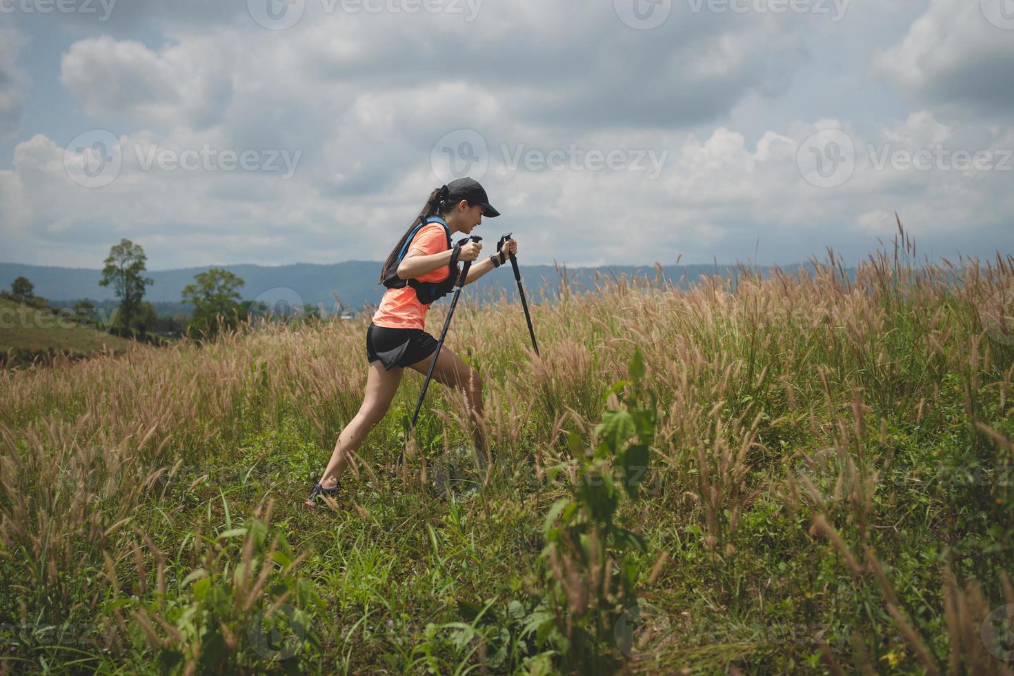 Young women active trail running across a meadow on a grassy trail high in the mountains in the afternoon with trekking pole photo