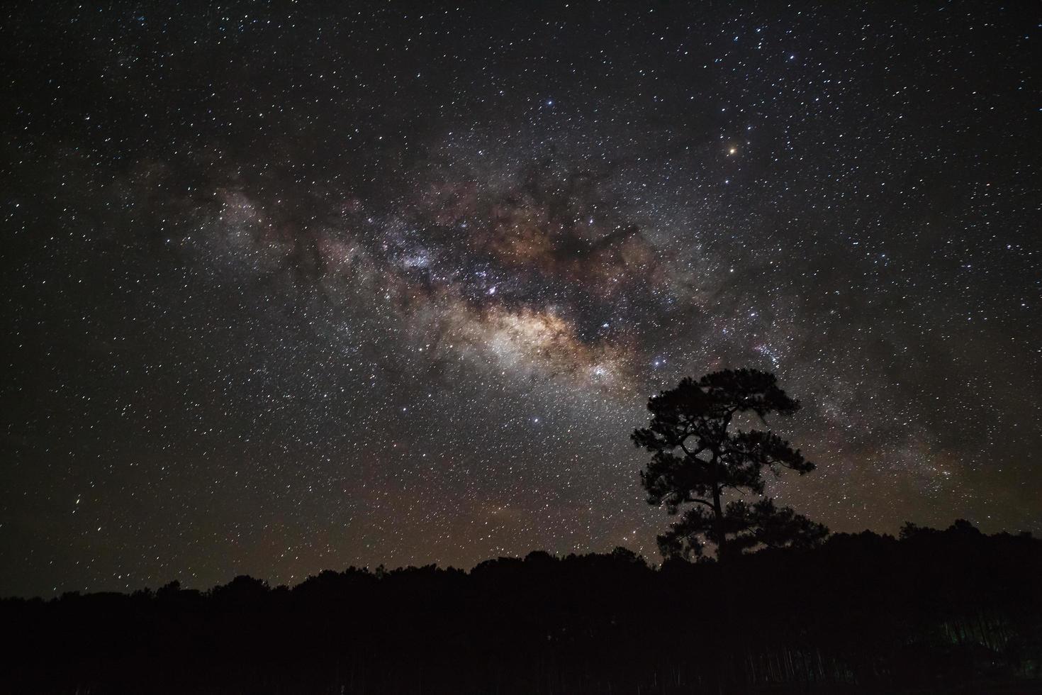 silueta de árbol y vía láctea. fotografía de larga exposición con grano foto